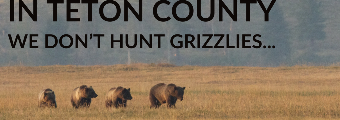Grizzlies hunting Teton County