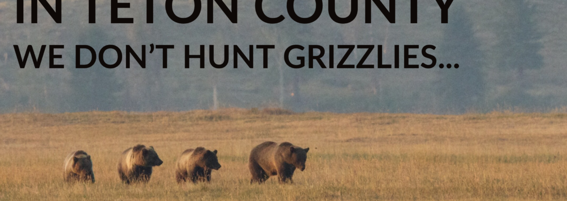 Grizzly bear, Teton County, Wyoming Wildlife Advocates campaign