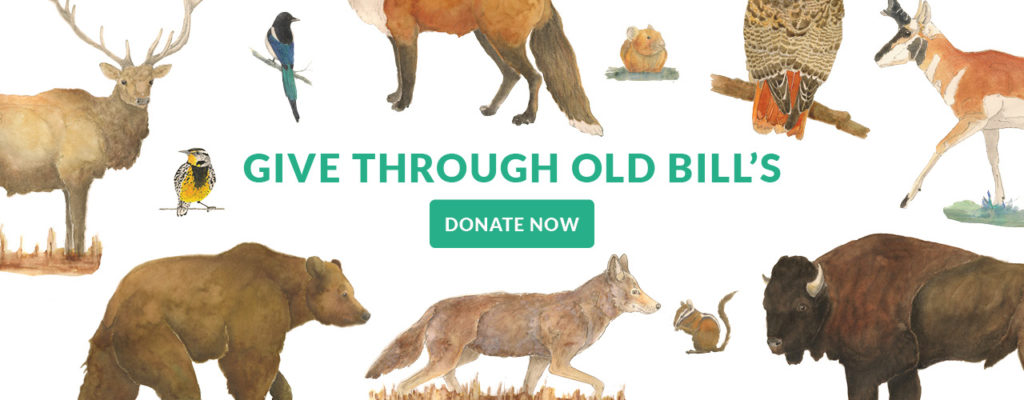 Help continue our success - give to WWA through Old Bills