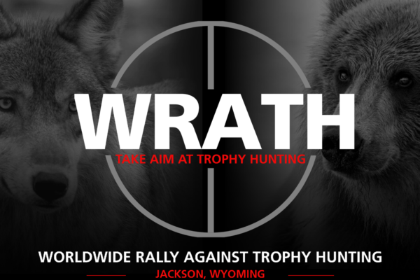 WRATH.Event Cover.WYOMING.2019