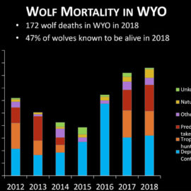 Wolf Mortality Wyoming 2018