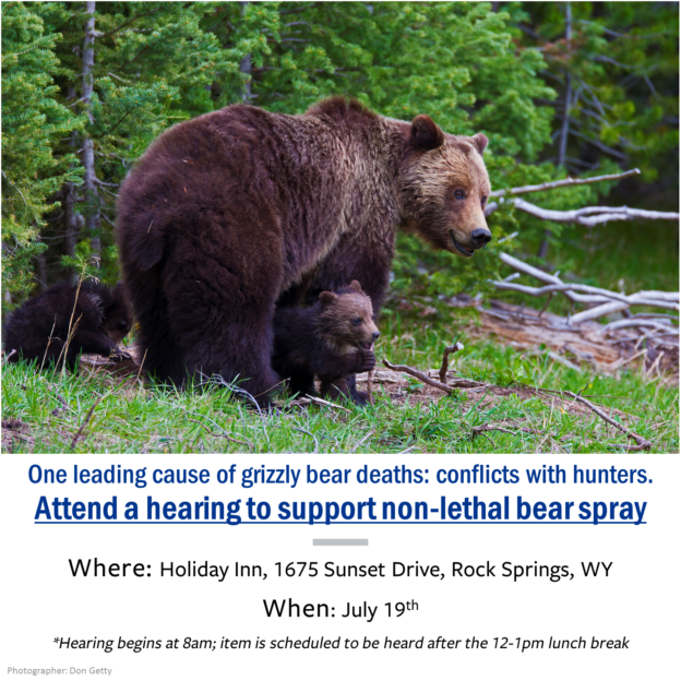 WY bear spray sharegraphic - Wyoming Wildlife Advocates