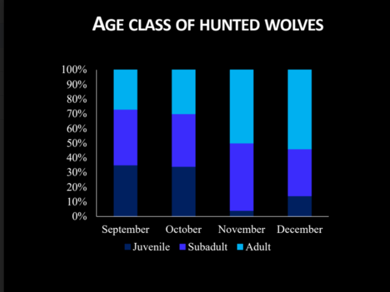 2021 Age Class of Hunted Wolves