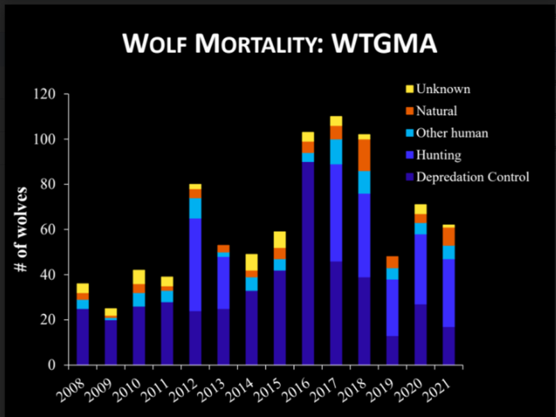 2021 WTGMA Wolf Mortality
