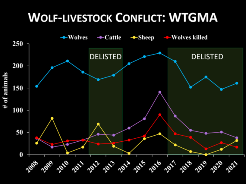 2021 Wolf Livestock Conflict